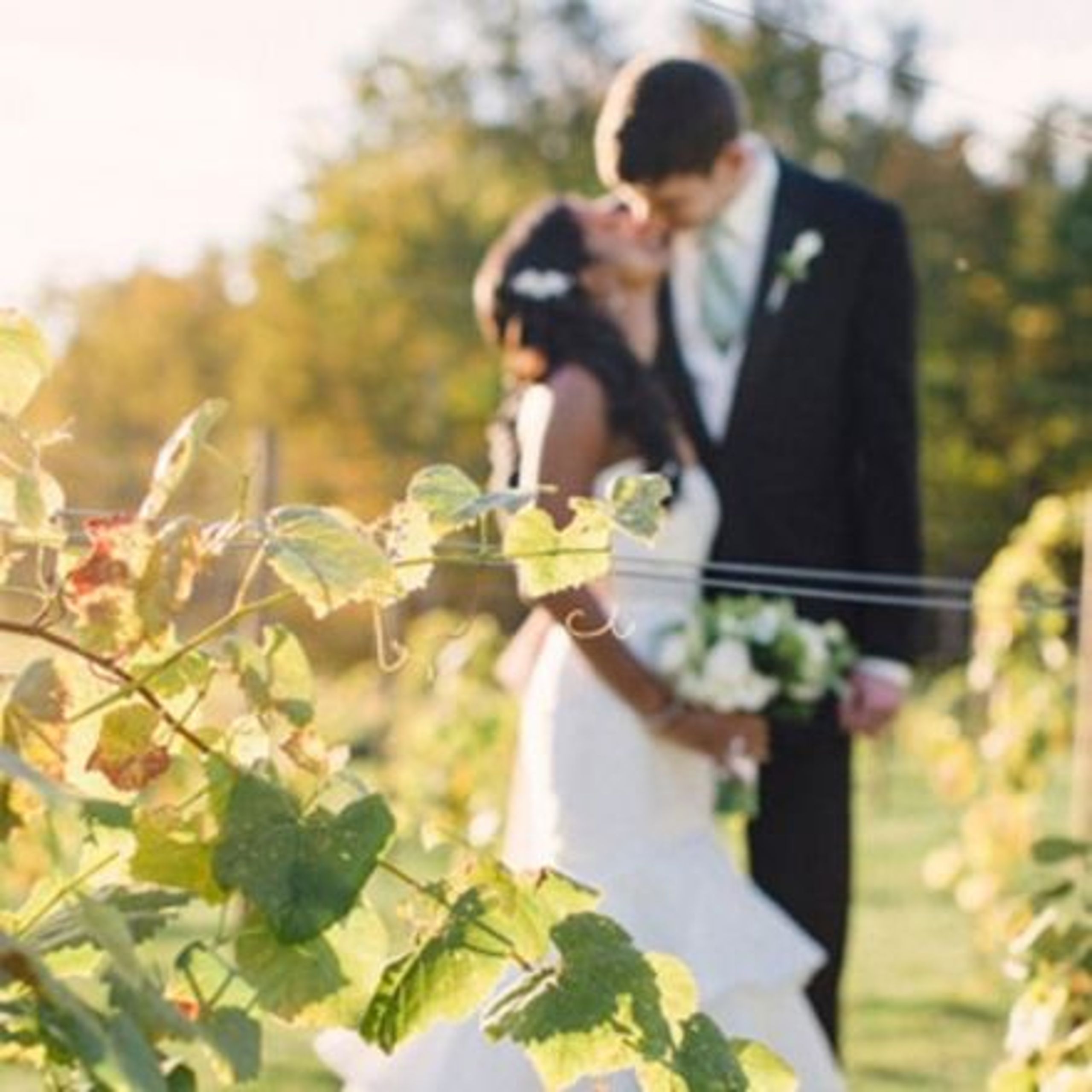 2023-10/Vineyard kiss.jpg