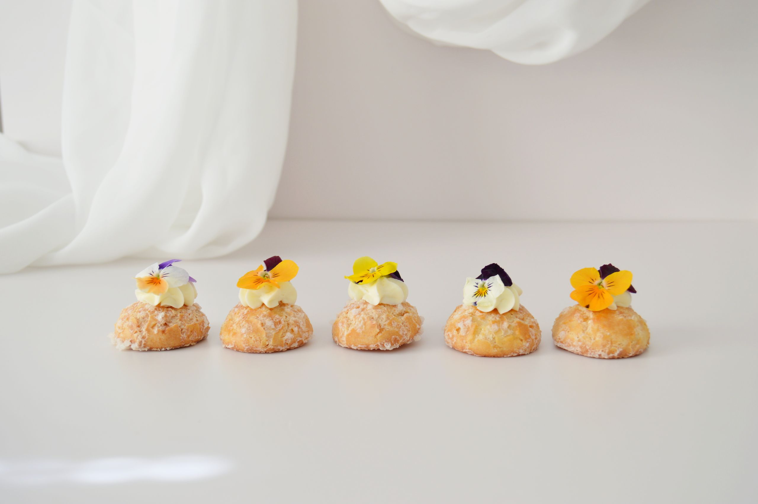 2024-06/Trop_mhpp (1).jpg