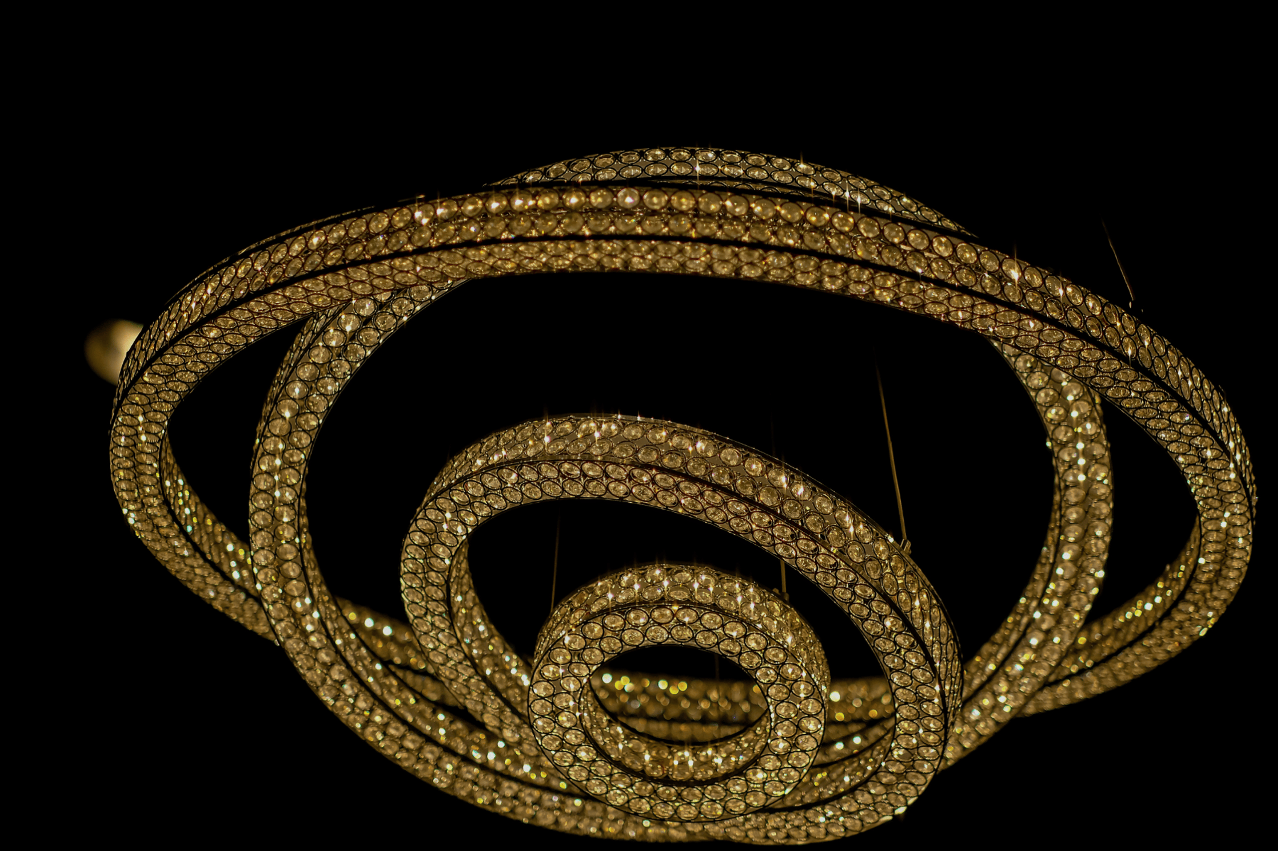 2024-12/Untitled design (2)_1.png