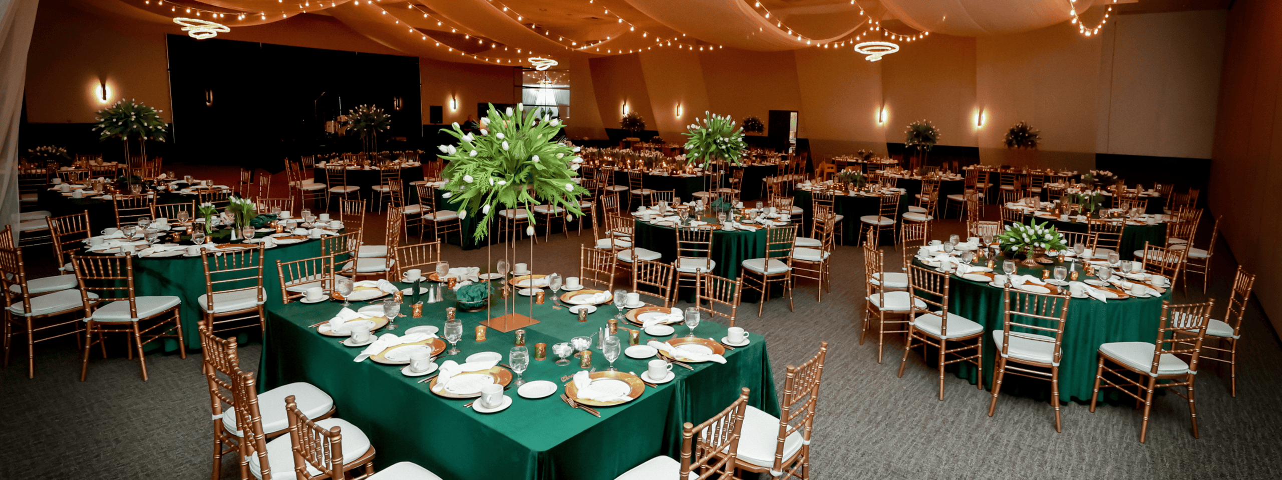 MN Bride Cover Image (2).png