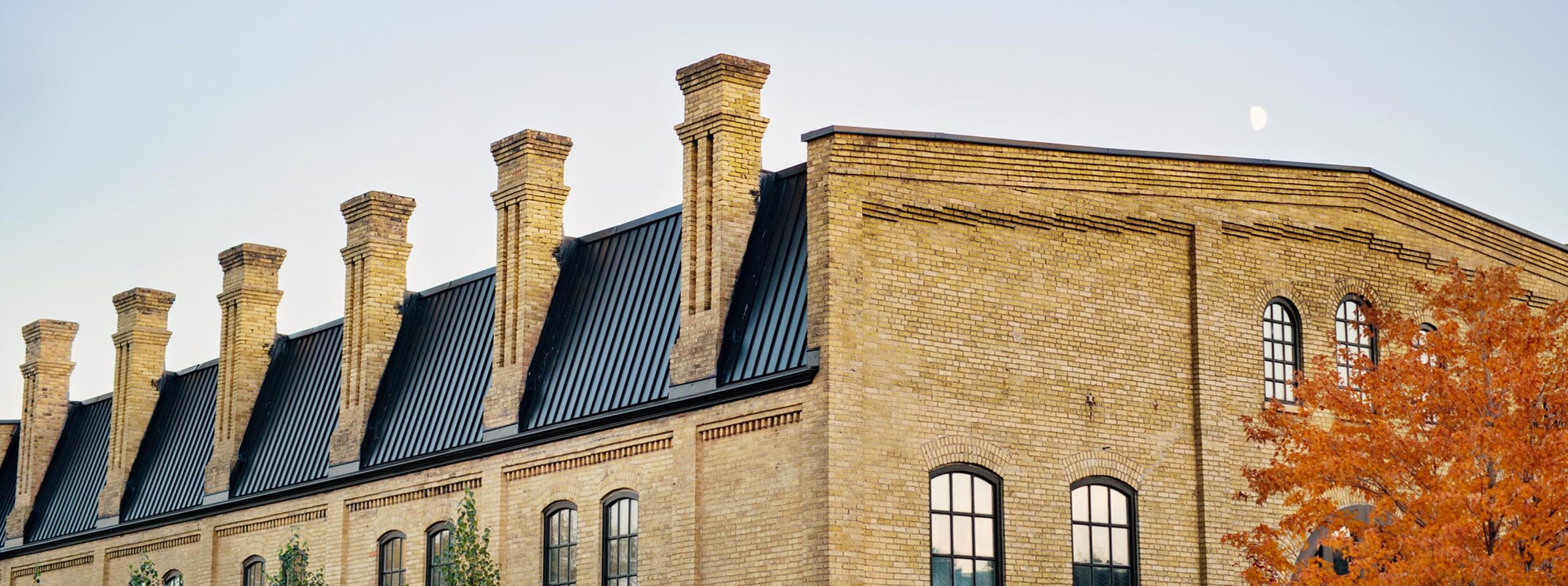 THE ESSENCE_Banner_0.jpg