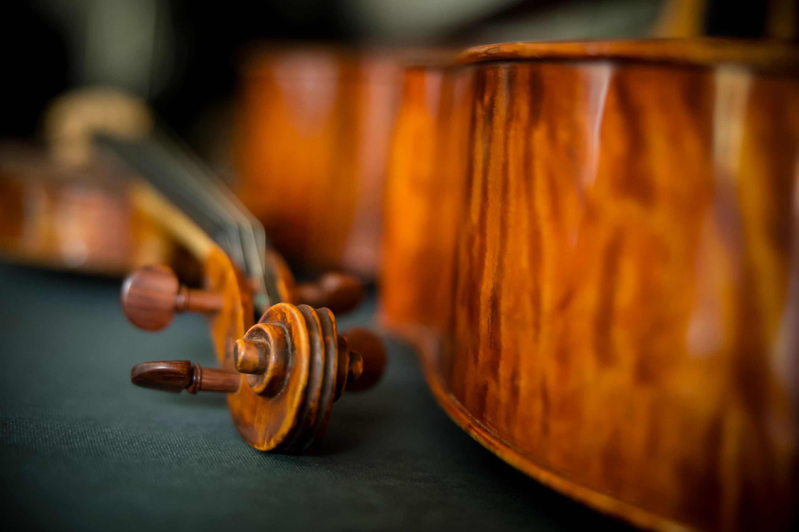 WEBSIZE Loring String Quartet, Jeannine Marie Photography-11.jpg