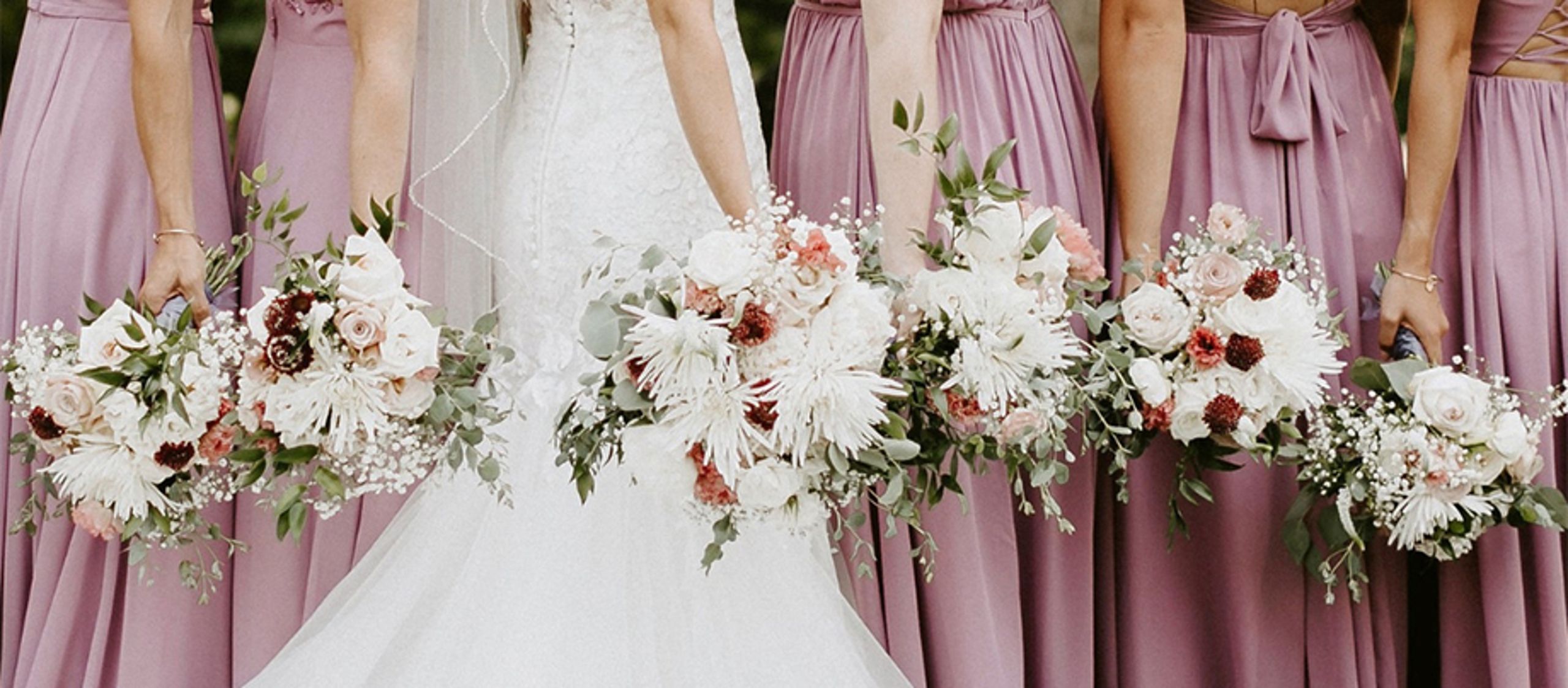 artemisia_MNB_FV2309 copyhdr.jpg