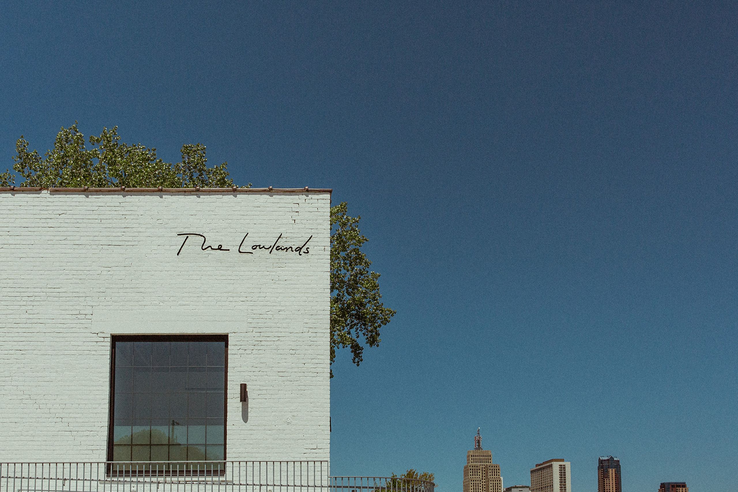 lowlands-49_websize - edited.jpeg